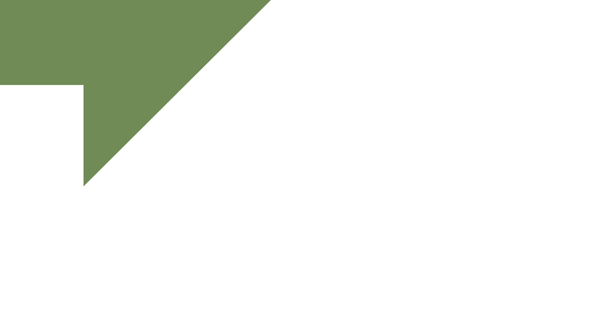 Trail Dust